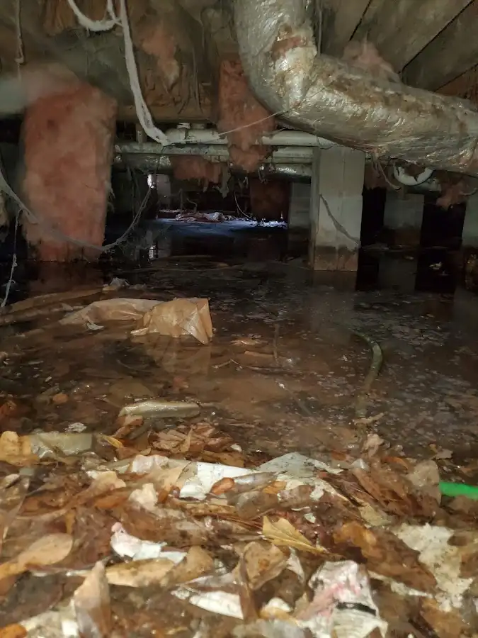 Crawl space flood assessment for Leak Detection & Repair in Mays Chapel
