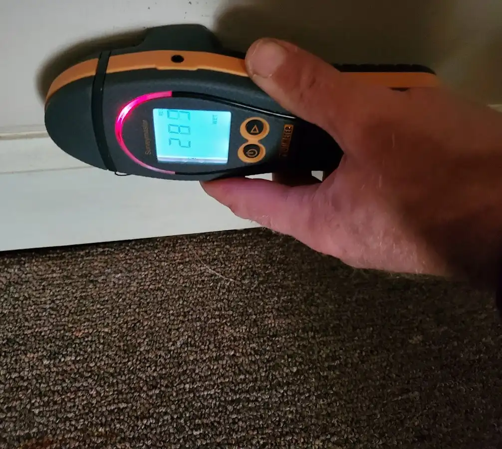 Moisture detection at baseboard during Sewage Cleanup & Sanitation in Mays Chapel